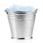 Understanding the Ice Bucket Challenge