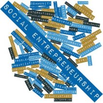 social entrepreneurs