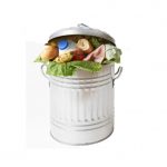 Too Good to Go: Eliminating Food Waste One Download at a Time